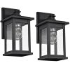 2 Pack outdoor wall light